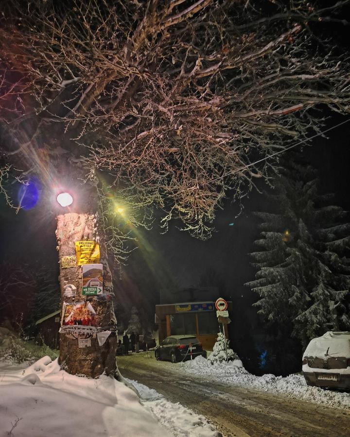 Villa Vikendica Ceperkovic #3 Kopaonik Exterior foto