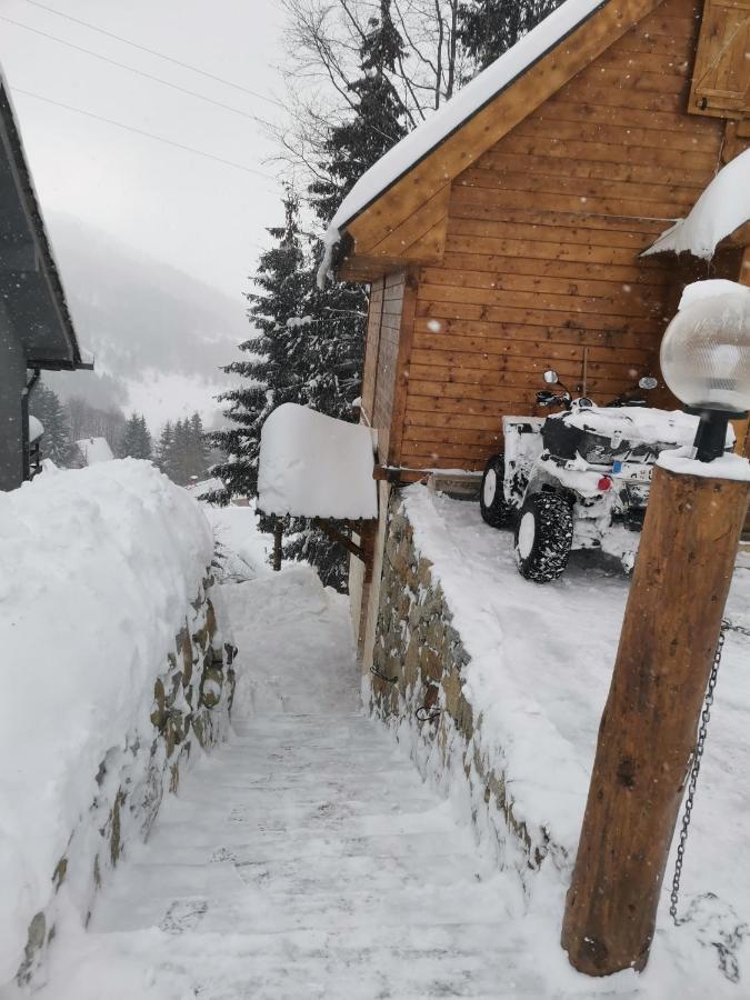 Villa Vikendica Ceperkovic #3 Kopaonik Exterior foto